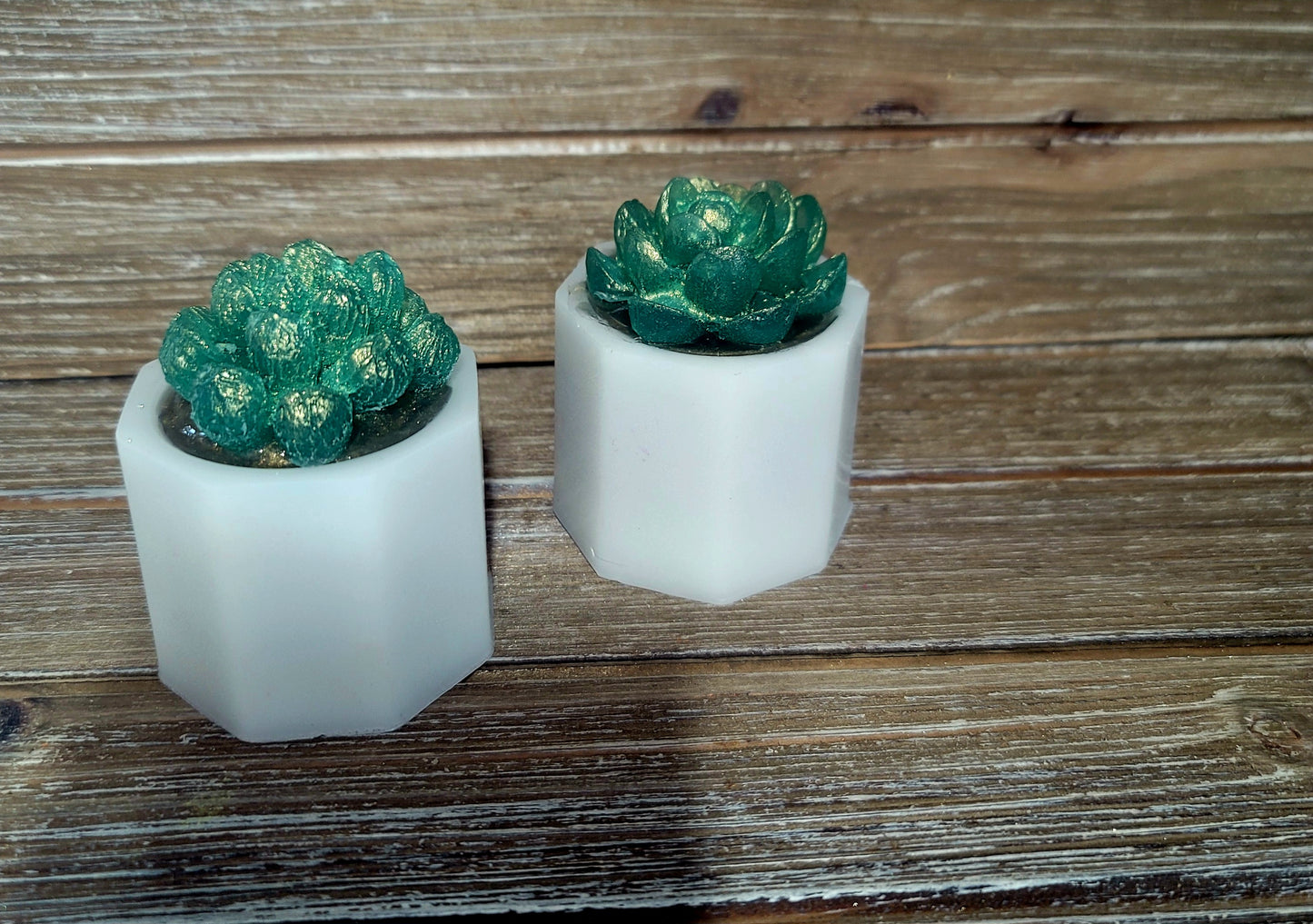 I Wet My Plants Soap Bar- 5oz