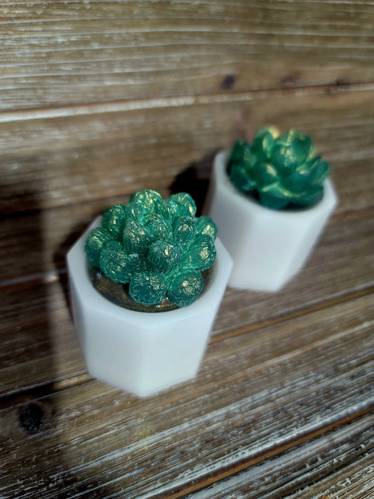 I Wet My Plants Soap Bar- 5oz