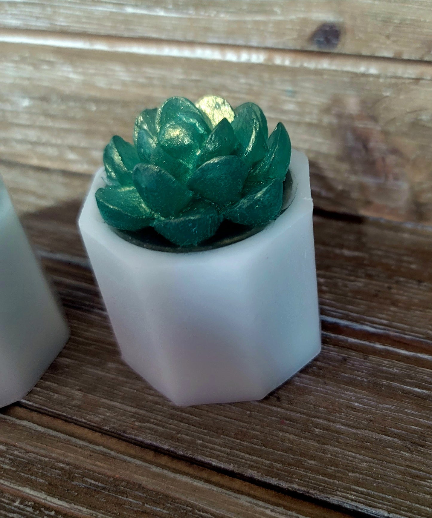 I Wet My Plants Soap Bar- 5oz