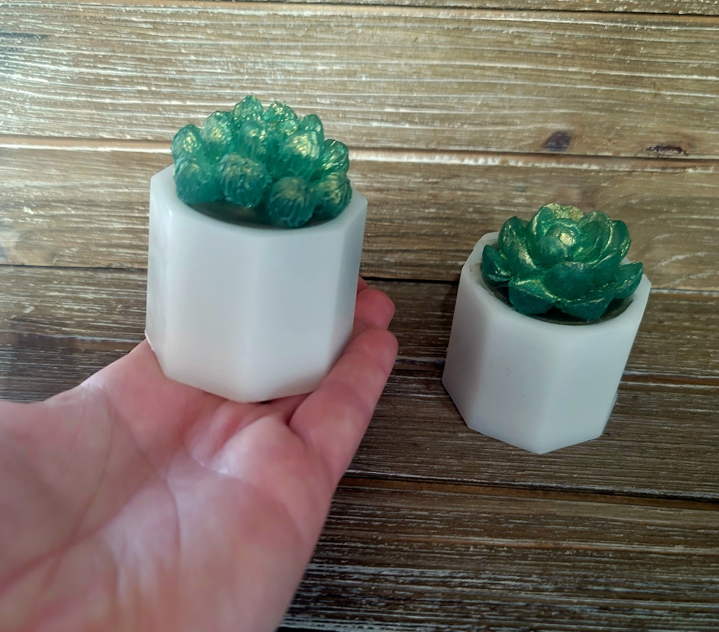 I Wet My Plants Soap Bar- 5oz