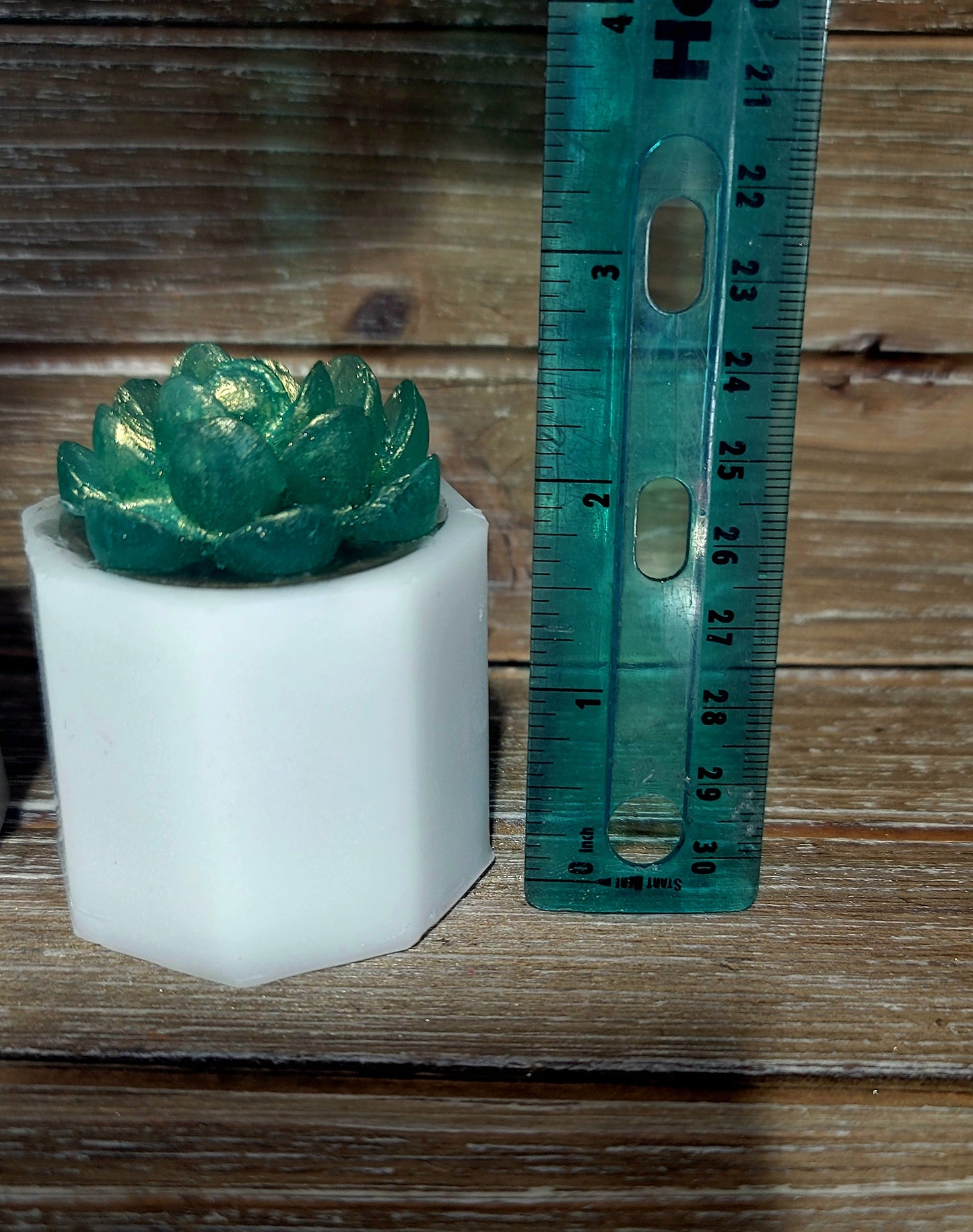 I Wet My Plants Soap Bar- 5oz