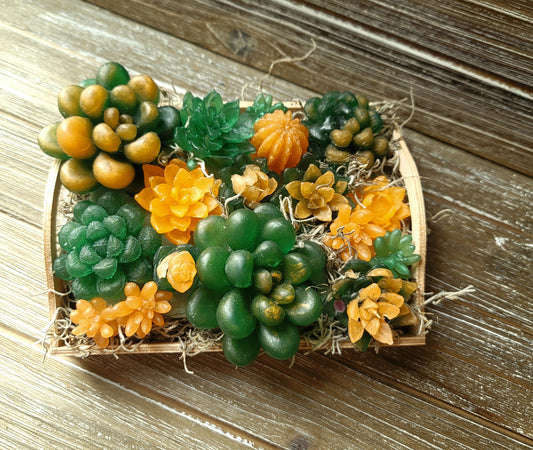 Dark Green and Peach Soap Succulent Tray