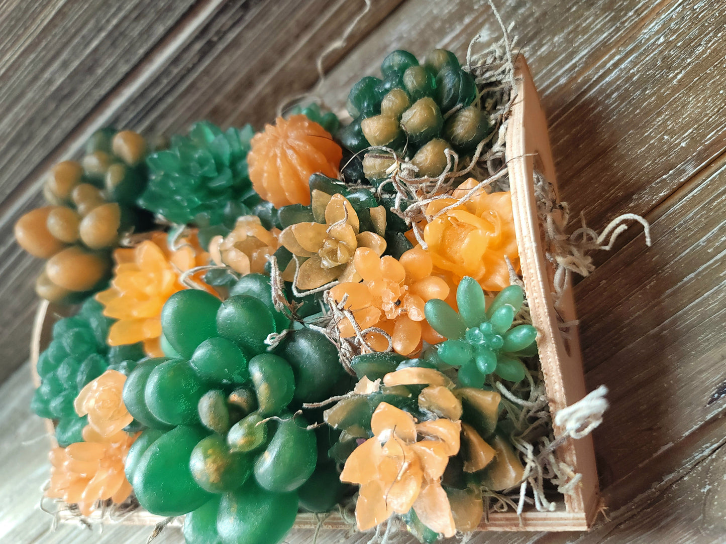 Dark Green and Peach Soap Succulent Tray