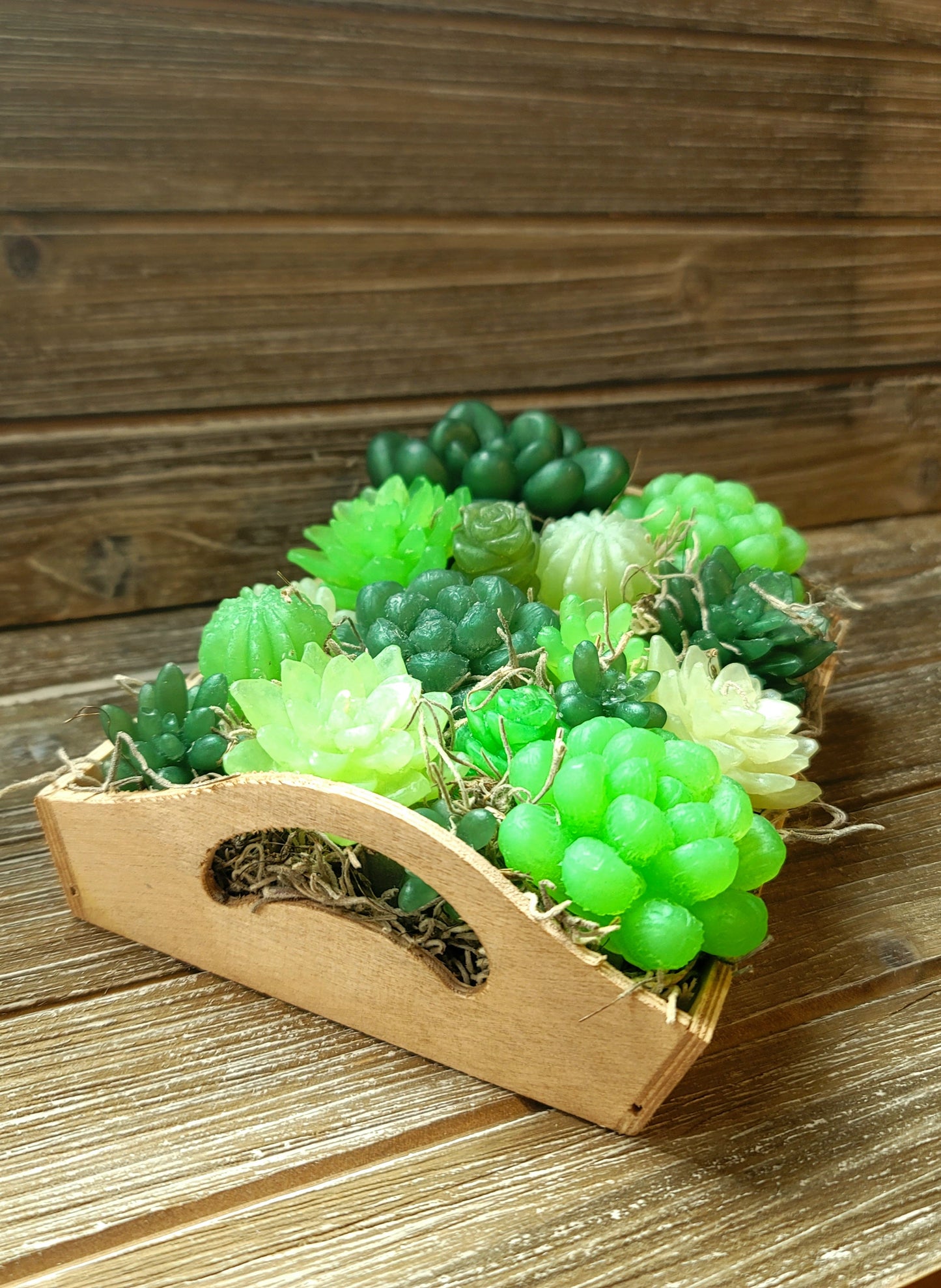 Green Variety Soap Suculent Tray