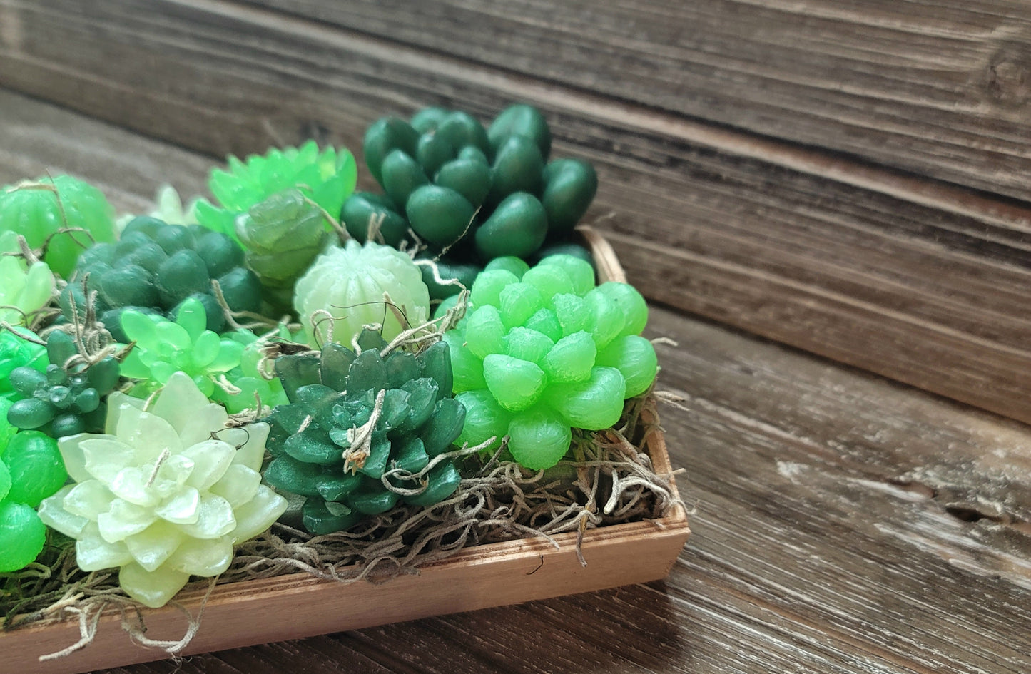 Green Variety Soap Suculent Tray