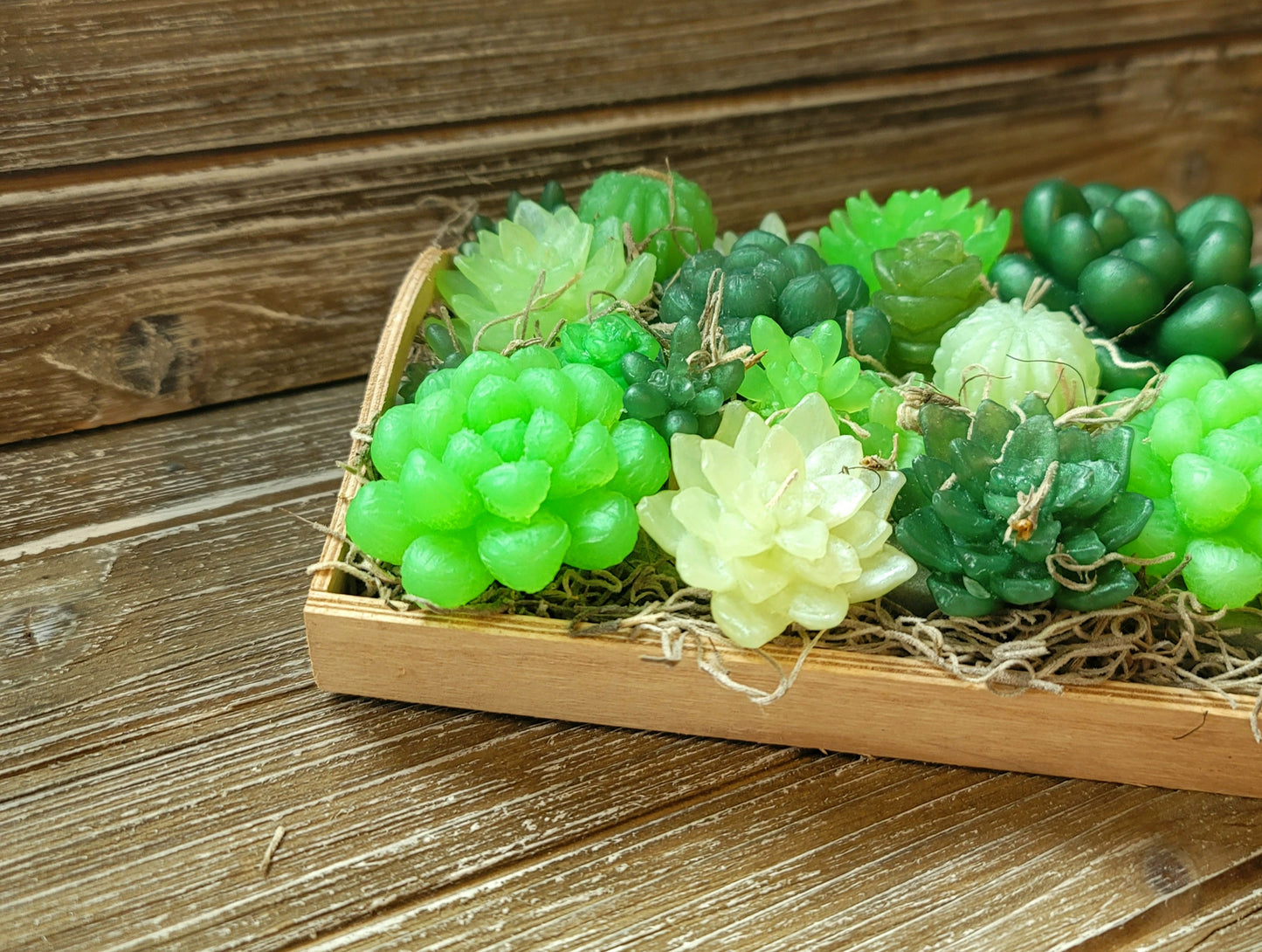 Green Variety Soap Suculent Tray