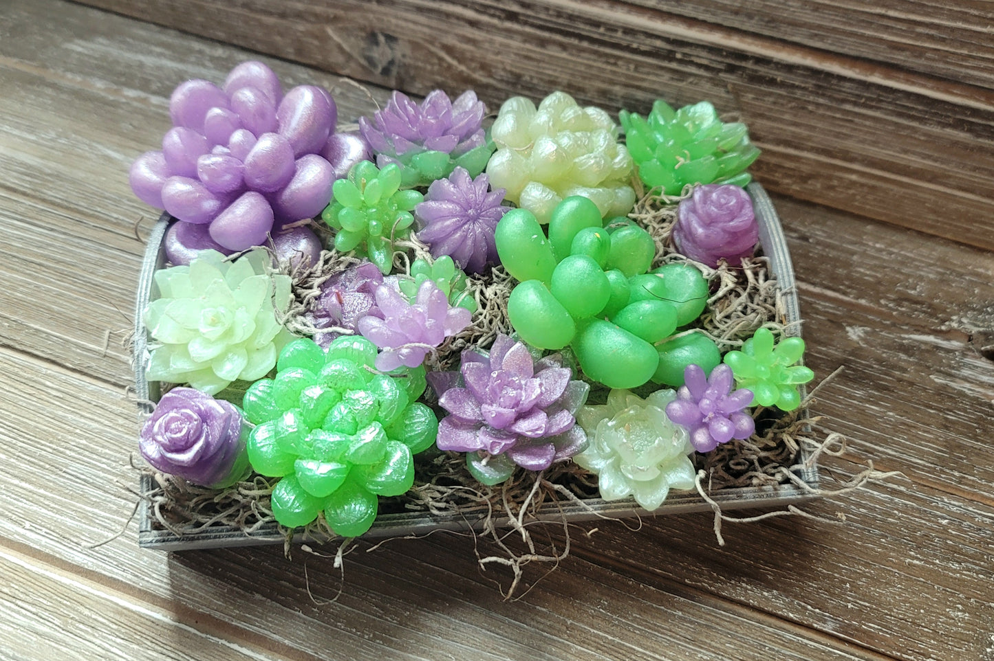 Green and Purple Soap Succulent Tray