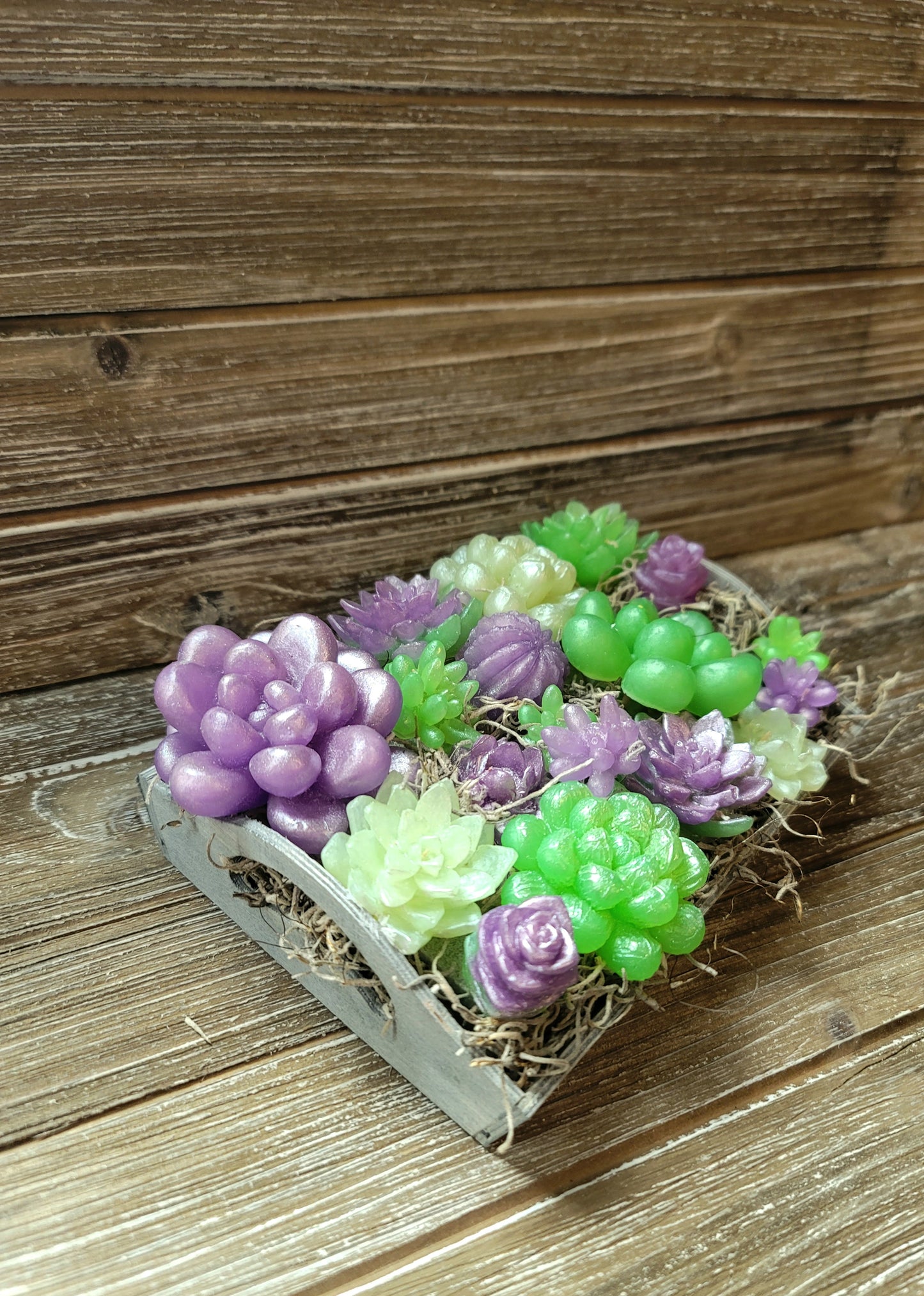 Green and Purple Soap Succulent Tray