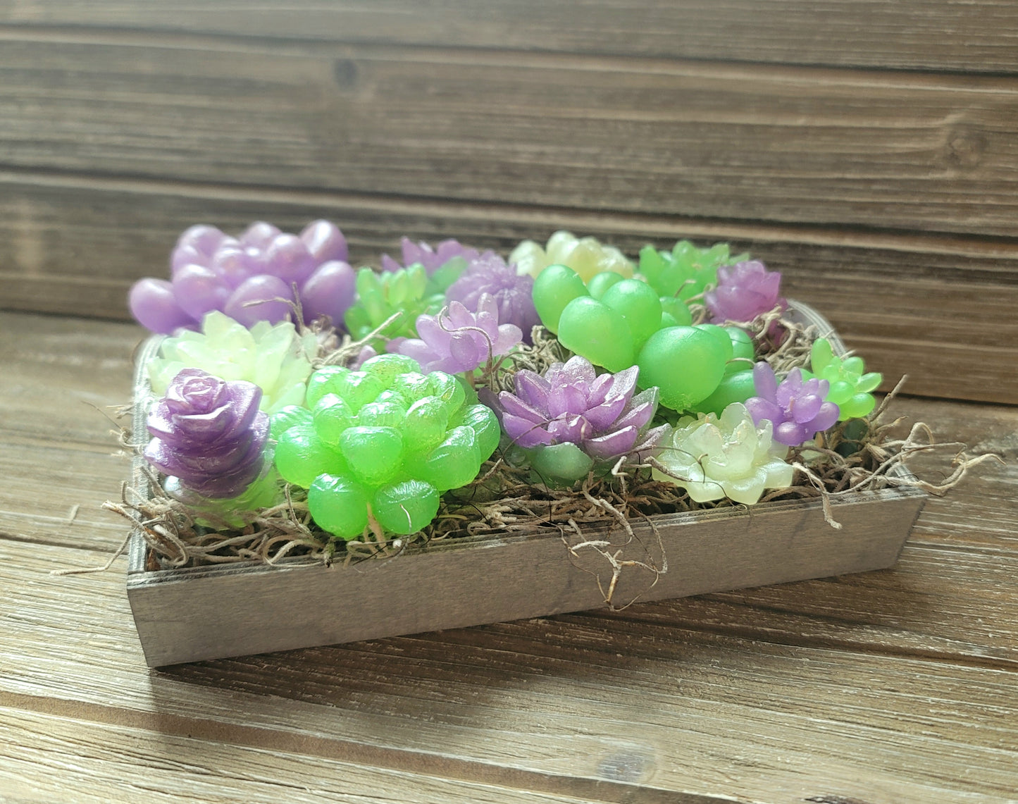 Green and Purple Soap Succulent Tray