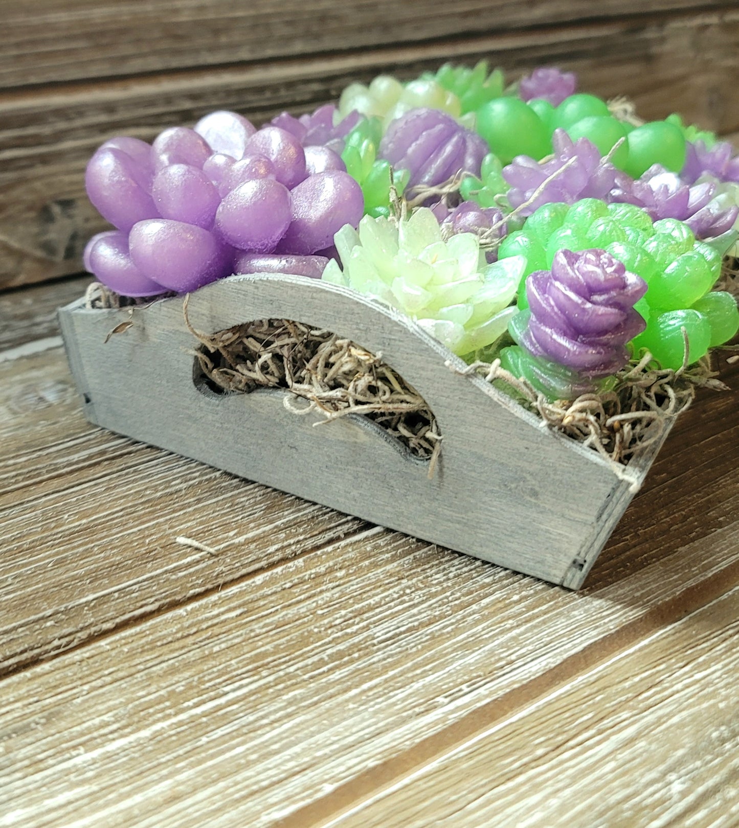 Green and Purple Soap Succulent Tray