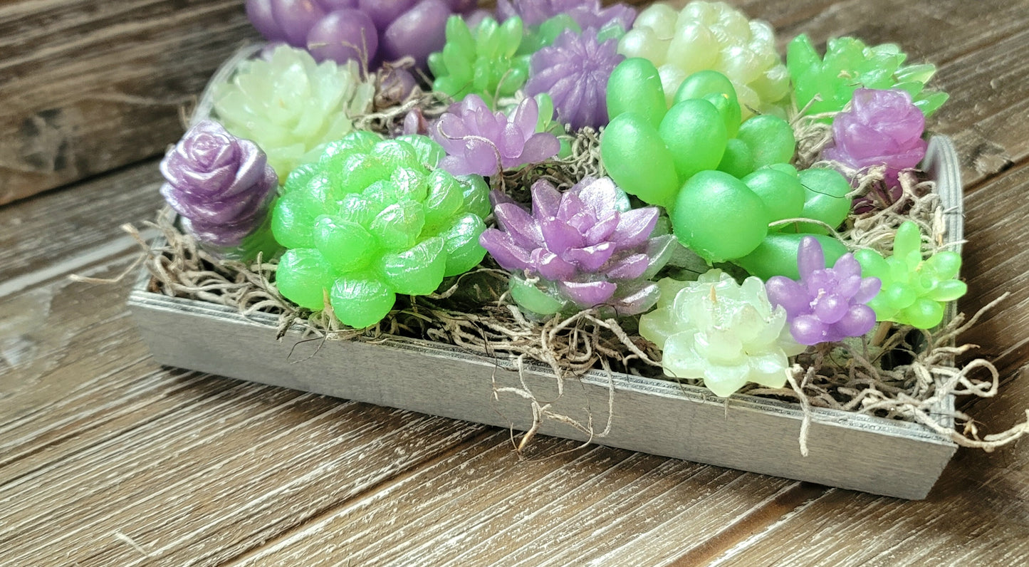 Green and Purple Soap Succulent Tray