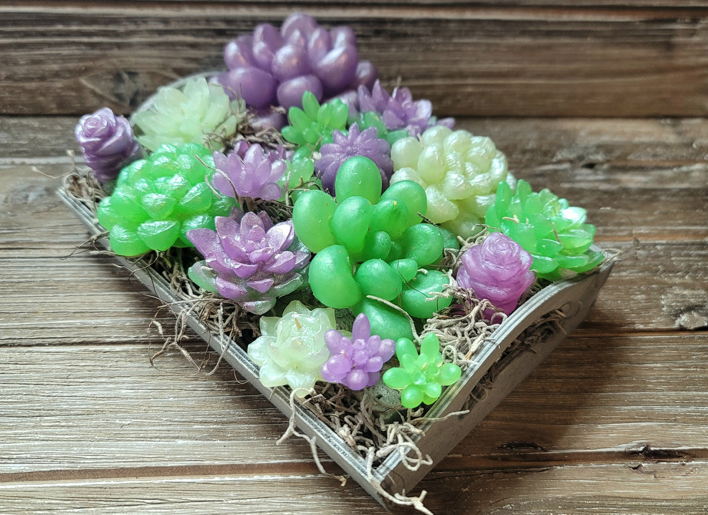 Green and Purple Soap Succulent Tray