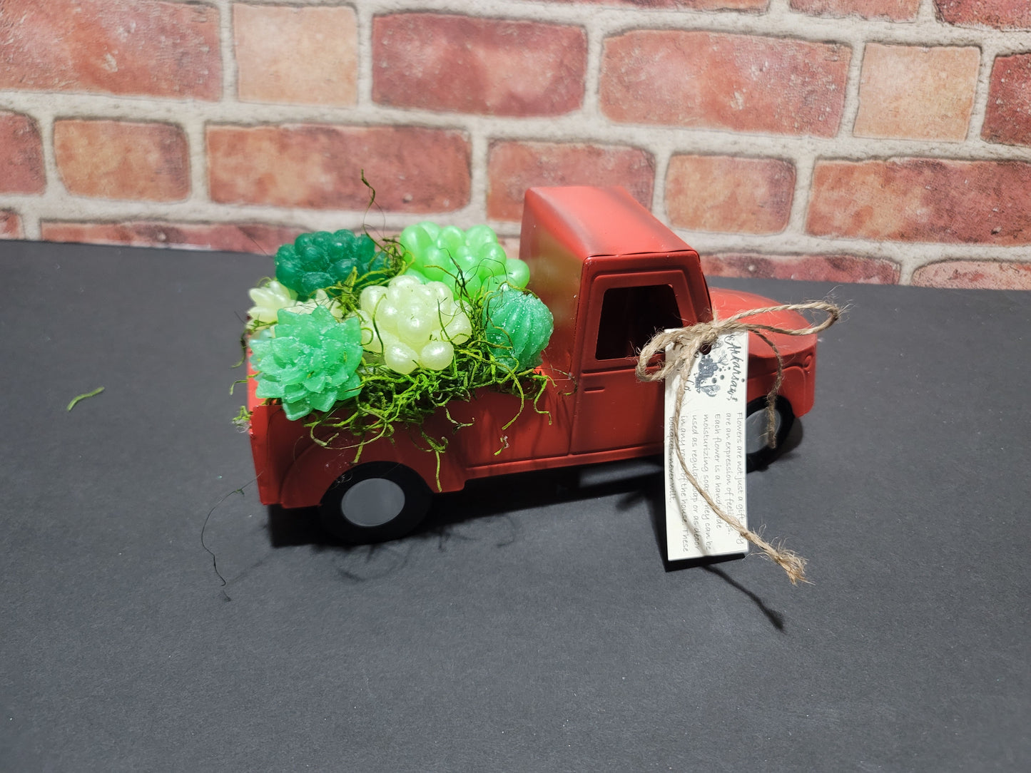 Succulent Trucks
