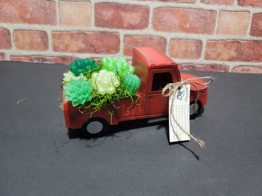 Succulent Trucks