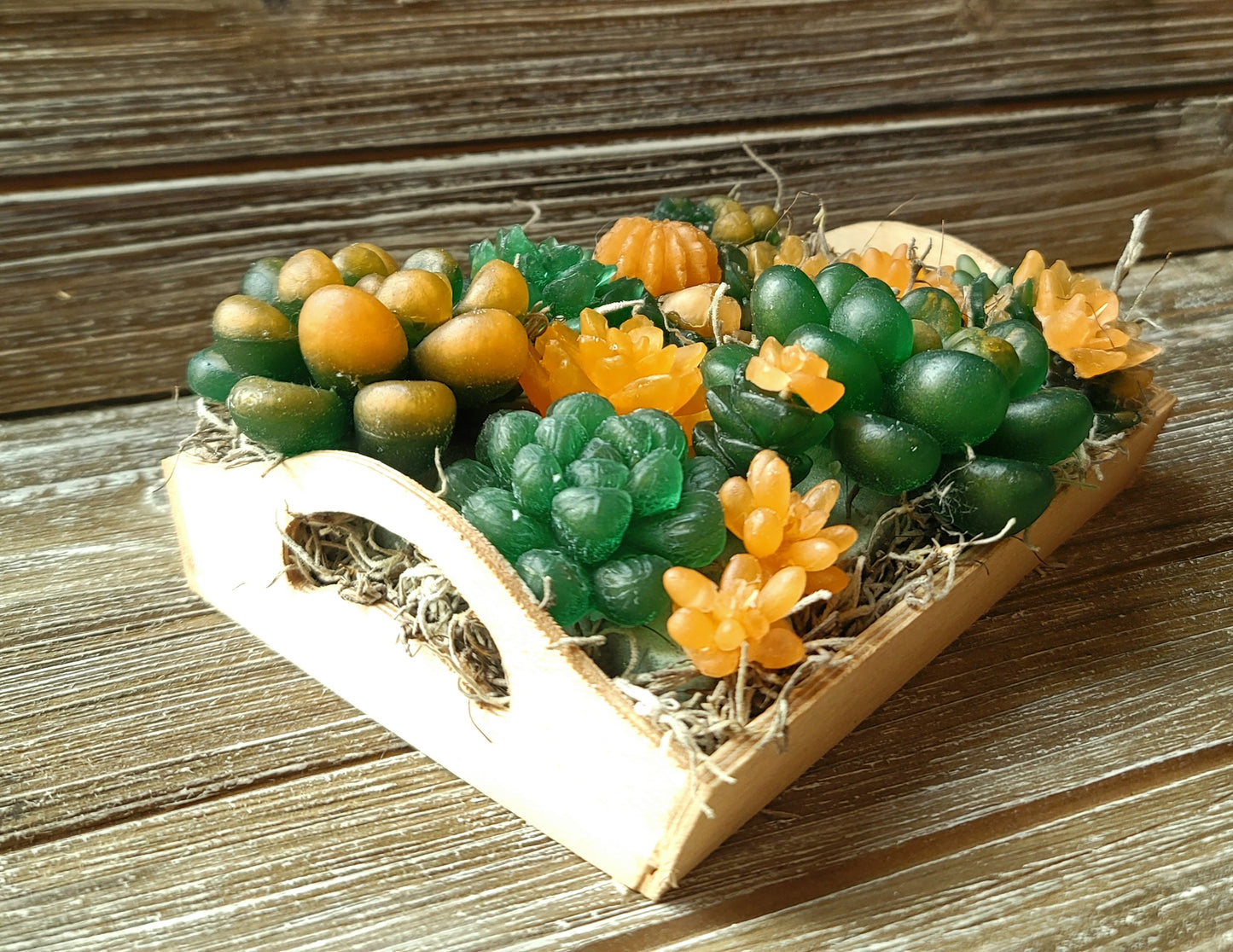Dark Green and Peach Soap Succulent Tray