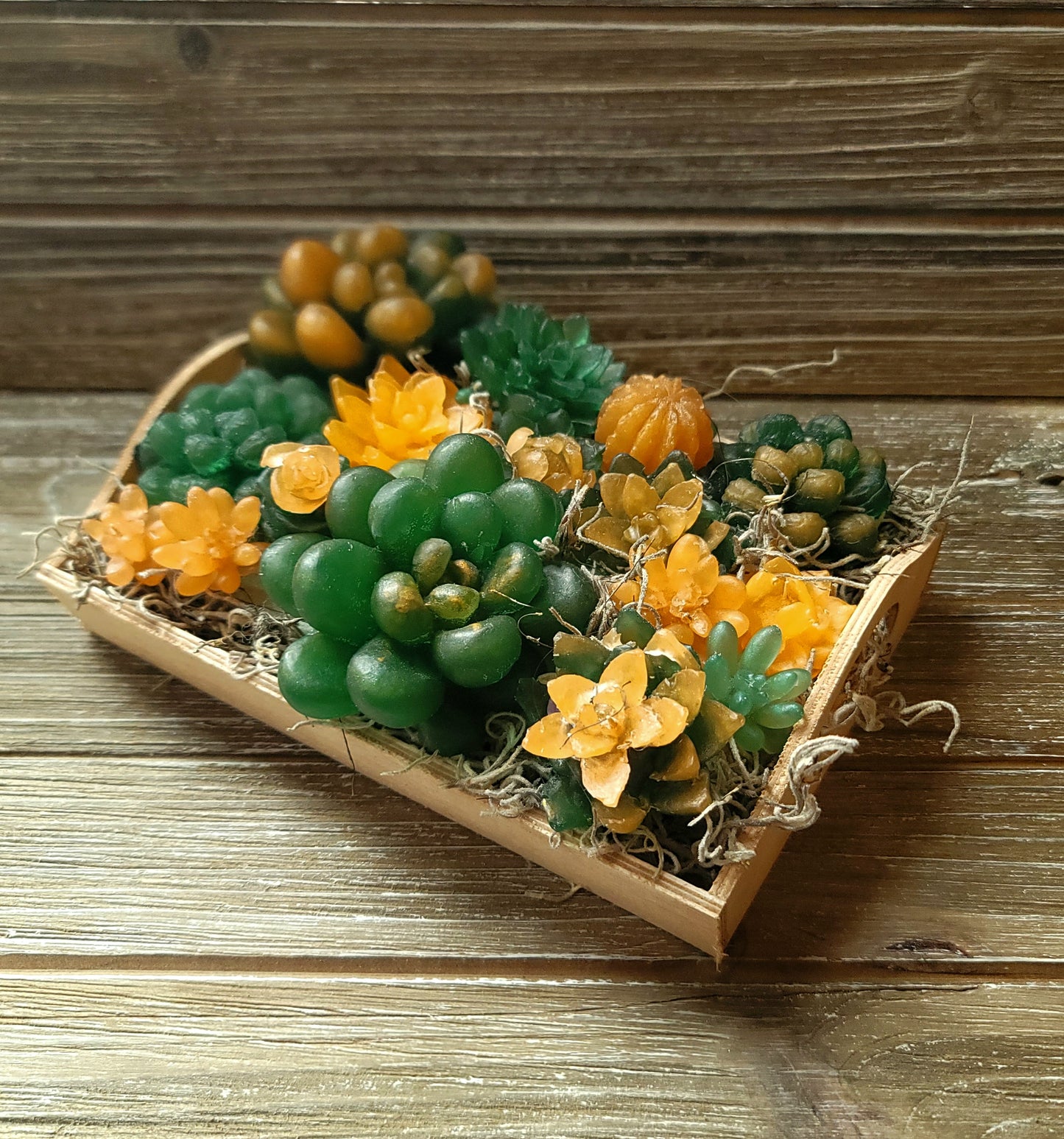 Dark Green and Peach Soap Succulent Tray