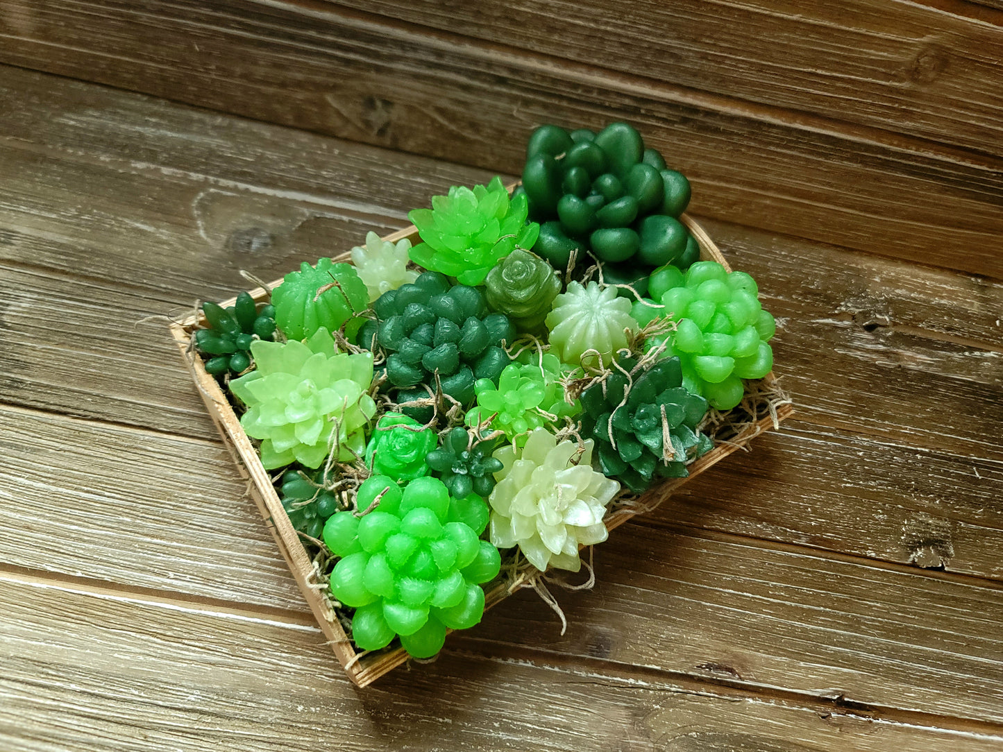 Green Variety Soap Suculent Tray