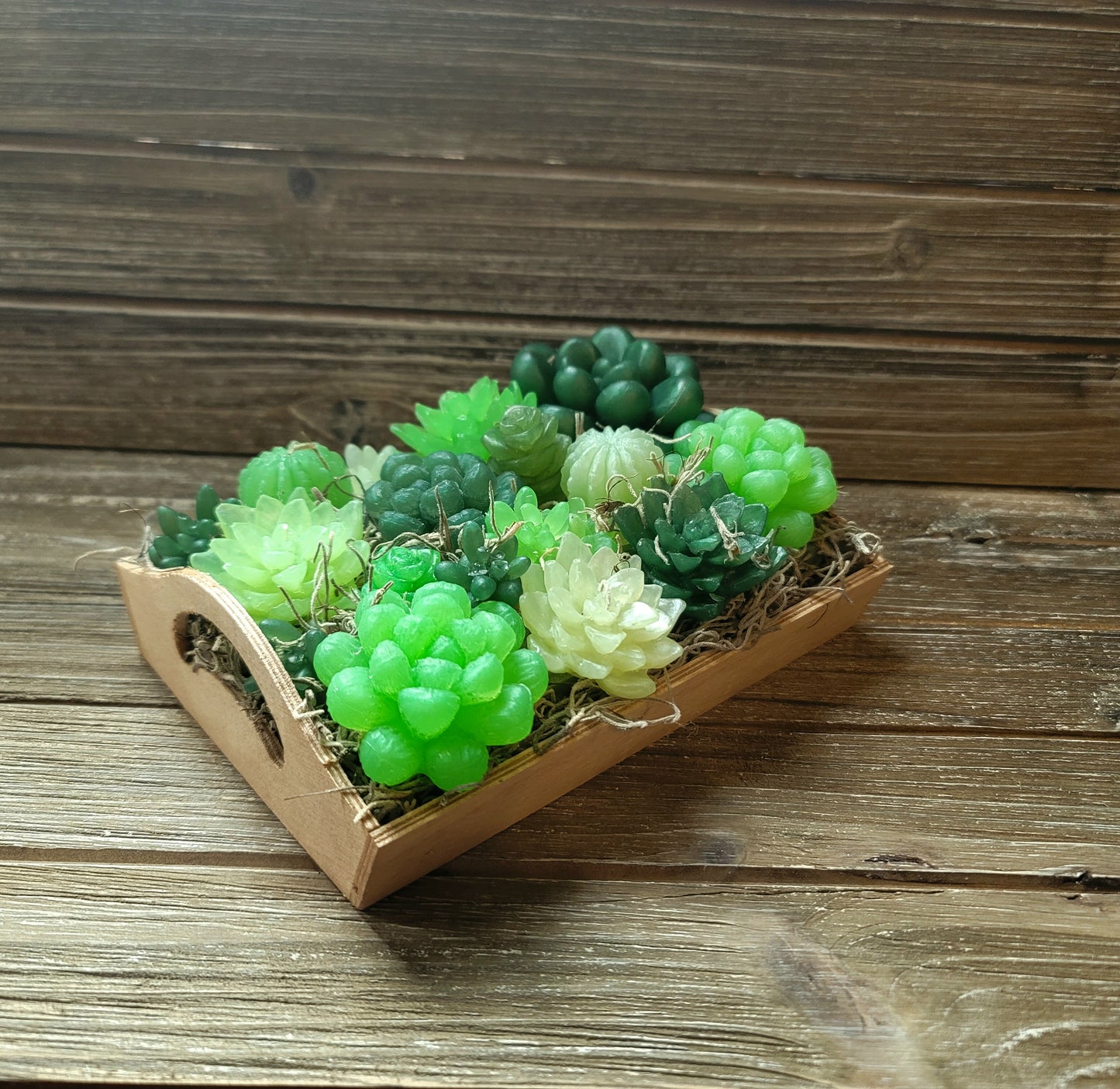 Green Variety Soap Suculent Tray