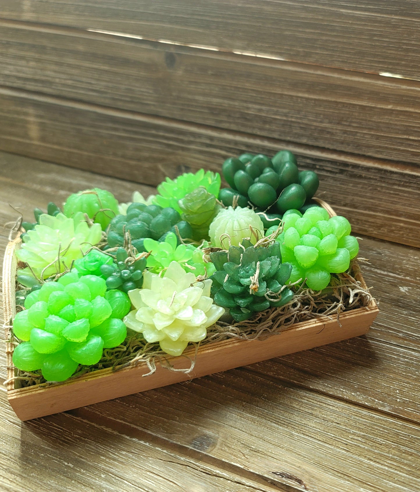 Green Variety Soap Suculent Tray