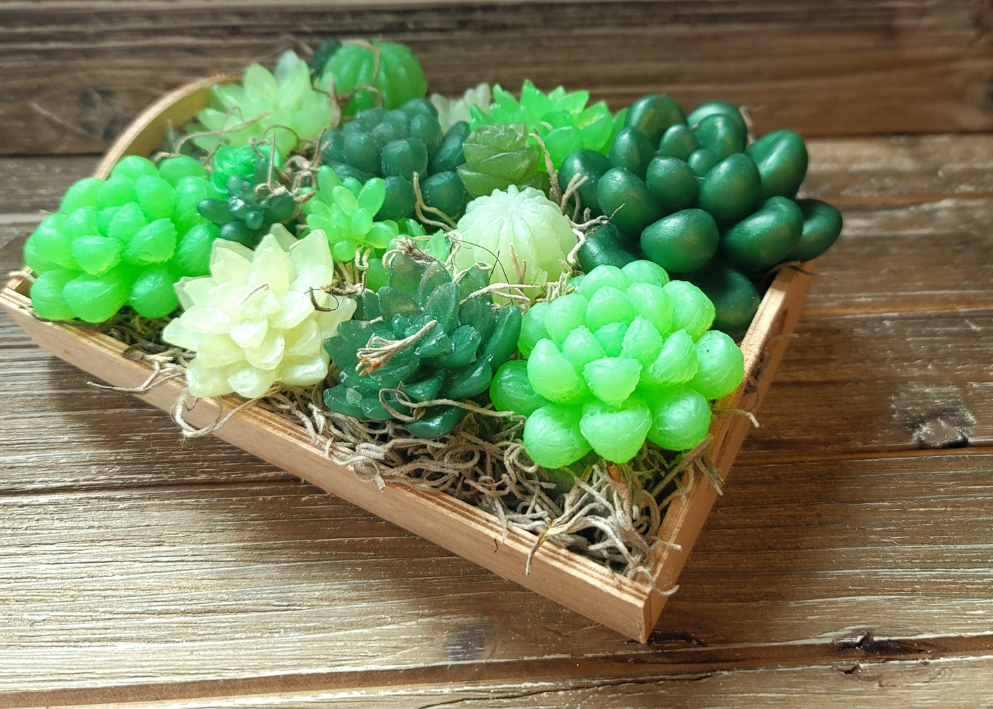 Green Variety Soap Suculent Tray