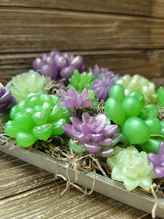 Green and Purple Soap Succulent Tray
